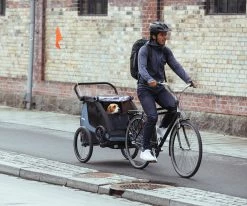 Thule Courier Kinderanhänger -Fahrradladen 451014